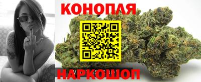 Альфа ПВП Краснодар